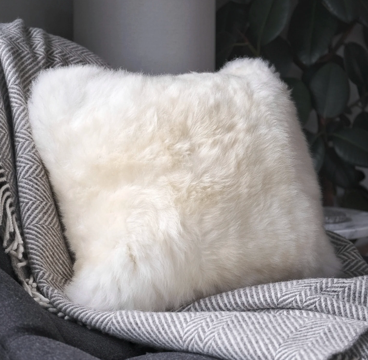 Sheepskin Pillow Square Champagne