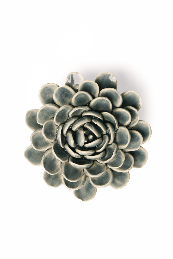 Pewter Blue Zinderella Zinnia