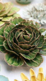 Green Lettuce Peony