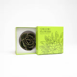 Ranunculus Green