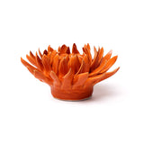 Orange Mum
