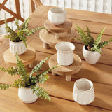 Dezie Mini Pots