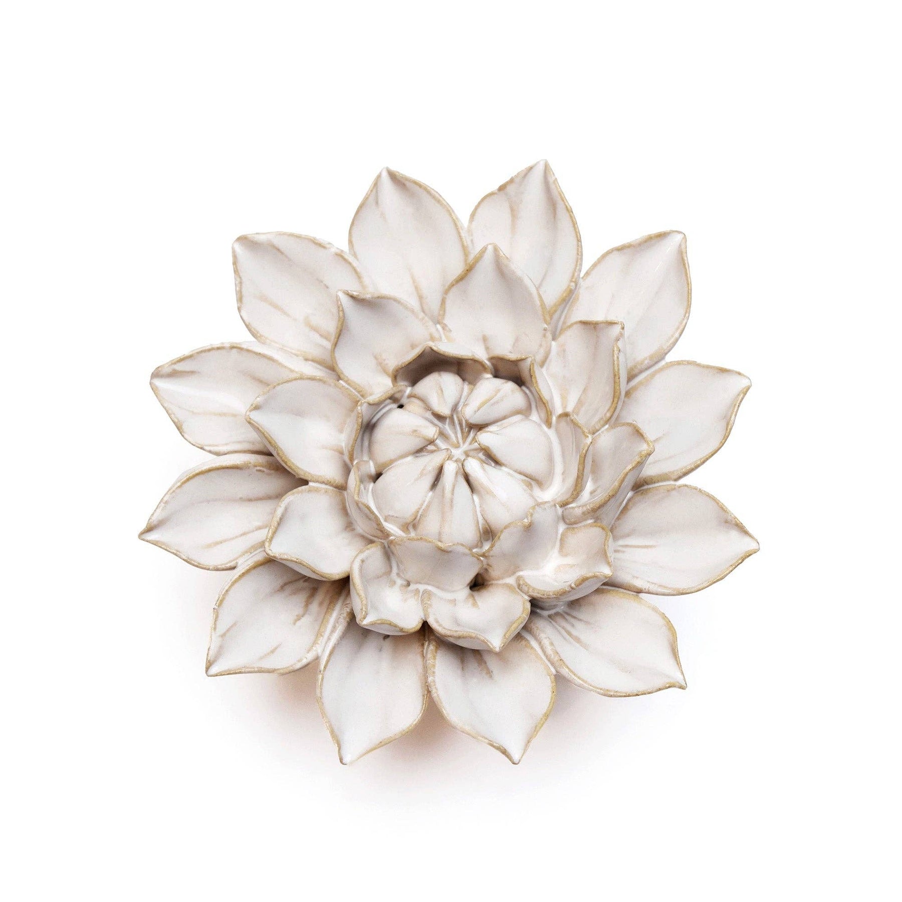 Ivory Dahlia