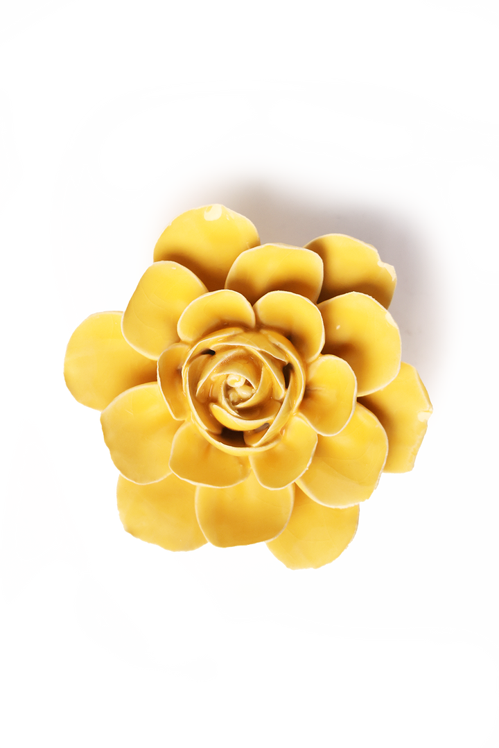 Burnt Yellow Begonia