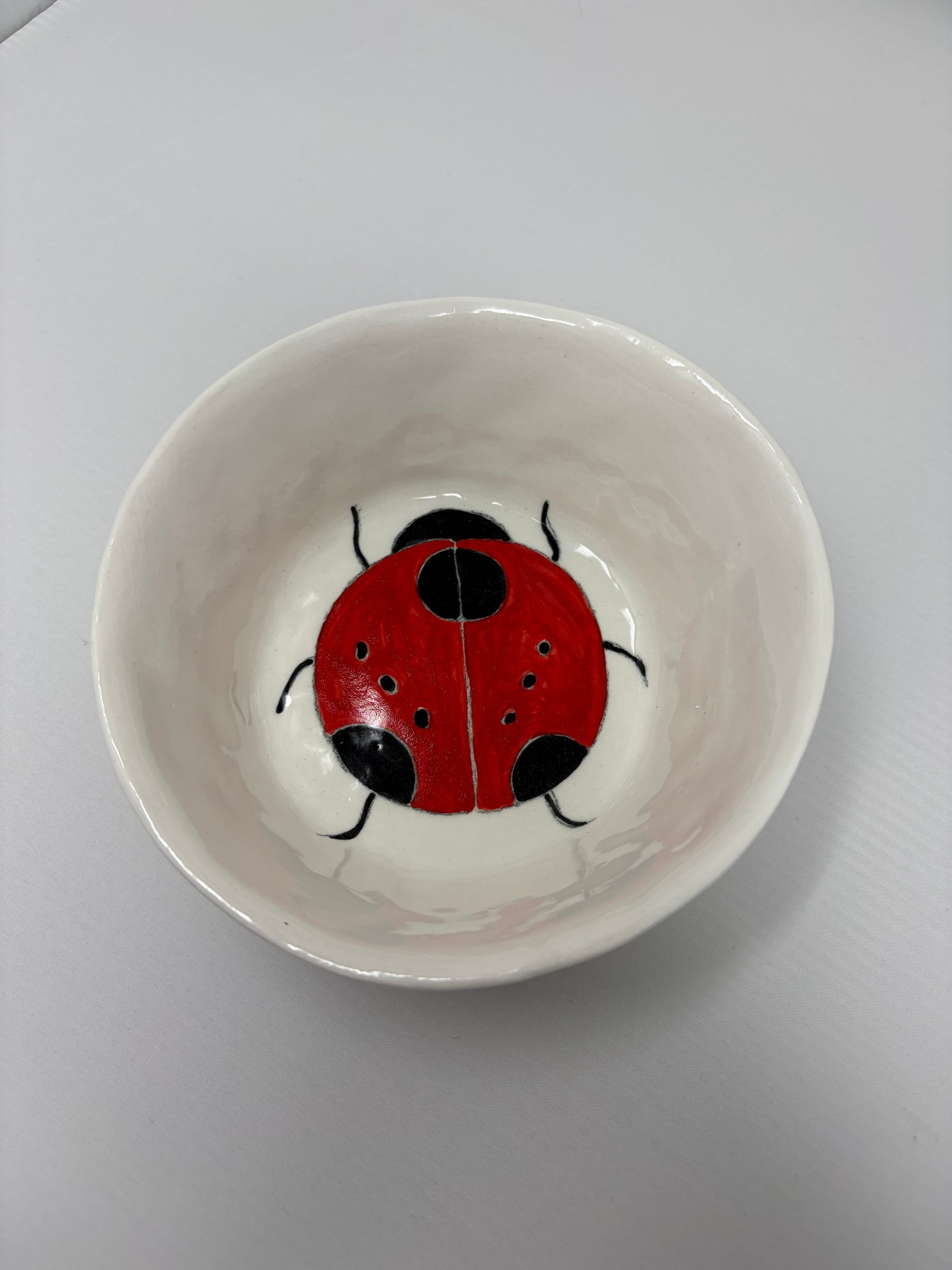 Snack Bowl Ladybug 1