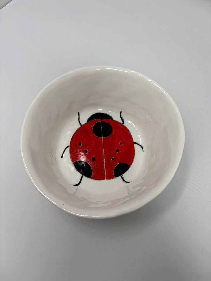 Snack Bowl Ladybug 1