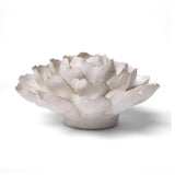 Ivory Empire Cabbage Flower