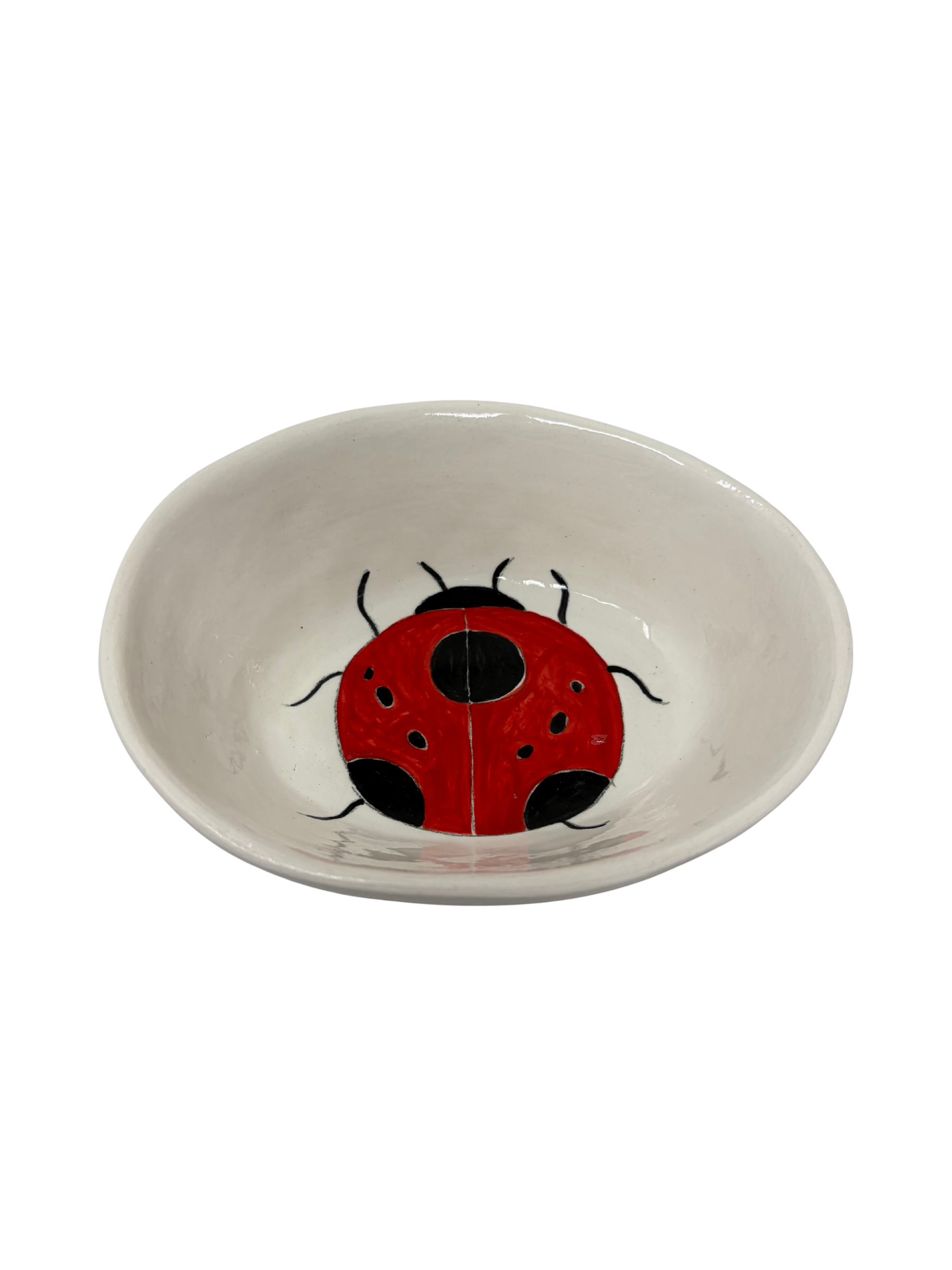 Small Oval Ladybug 1