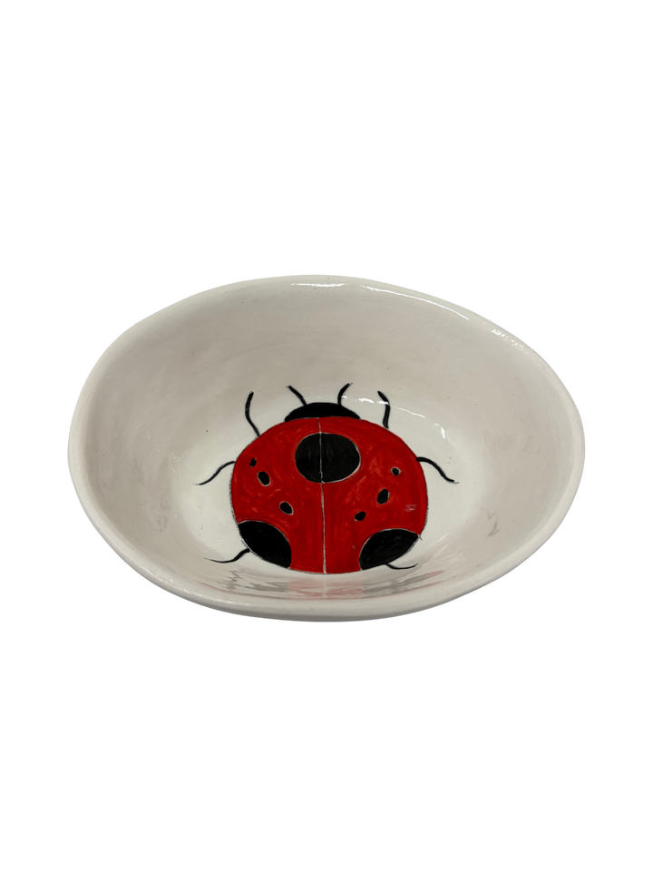 Small Oval Ladybug 1