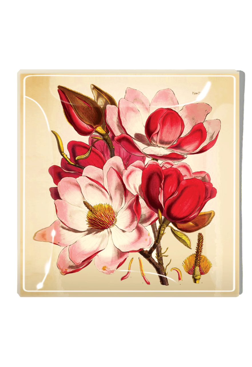 Decoupage Tray Magnolia Pink
