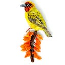 Brooch Cape Weaver
