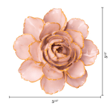 Rose Pink Camellia
