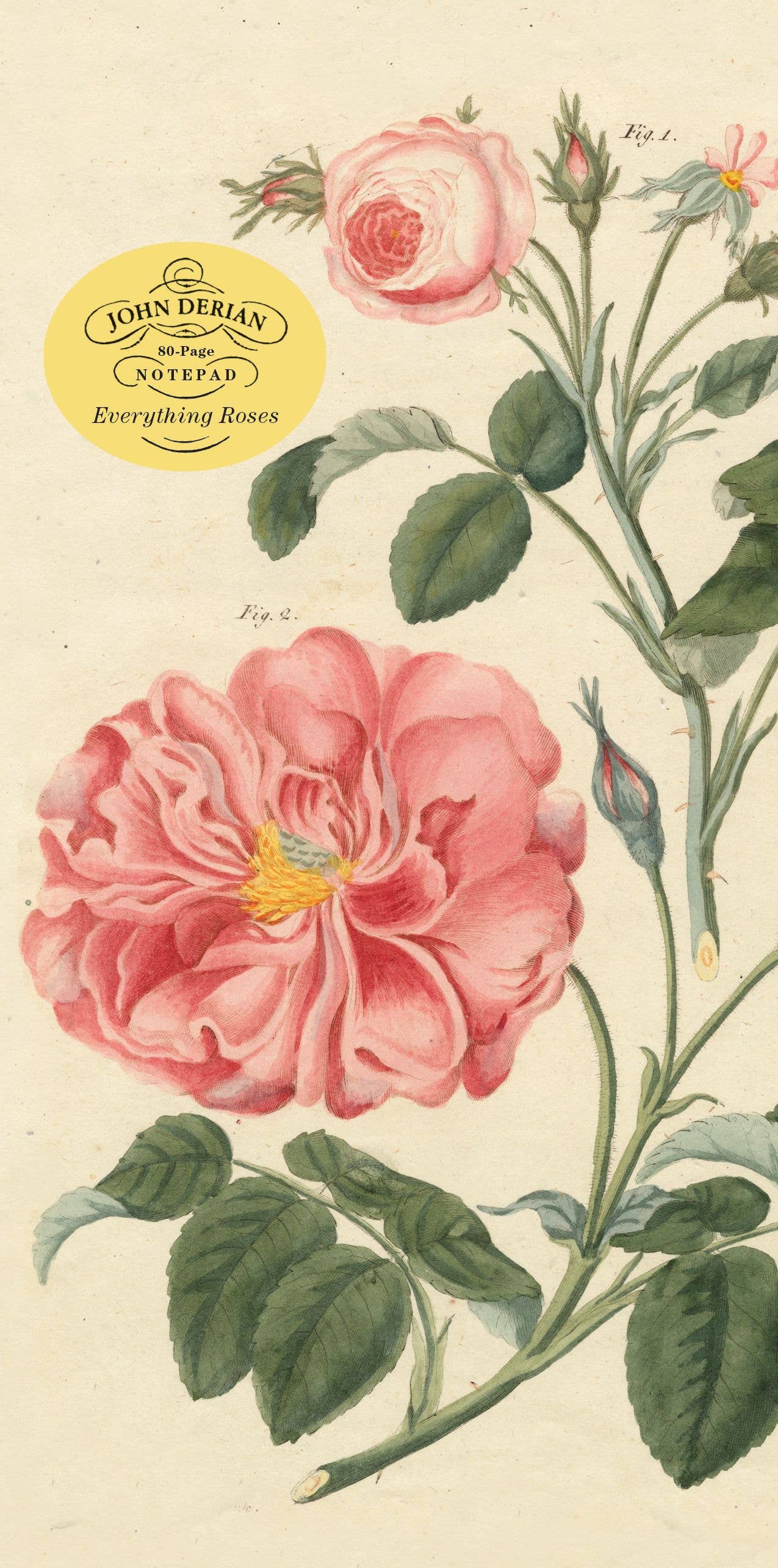 John Derian Everything Roses Notepad