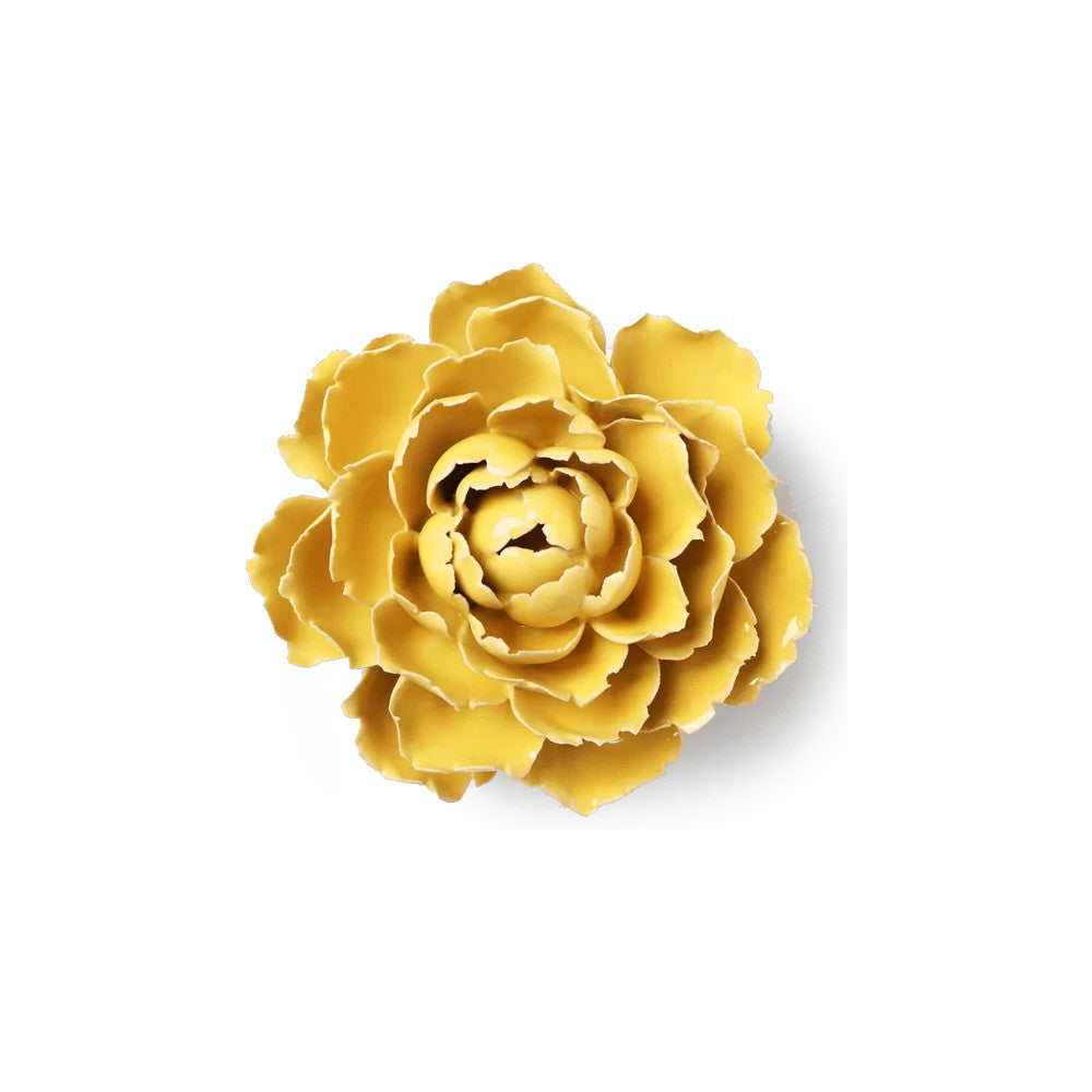 Yellow Paree Peony