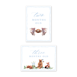 Baby Milestone Cards Woodland Blue