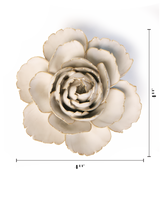 Ivory English Rose