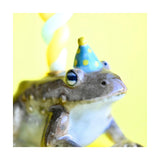 Cake Topper Toad