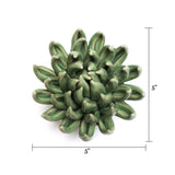 Green Large Succulent
