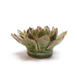 Succulent Point