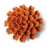 Orange Sea Polyp