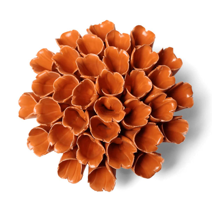 Orange Sea Polyp