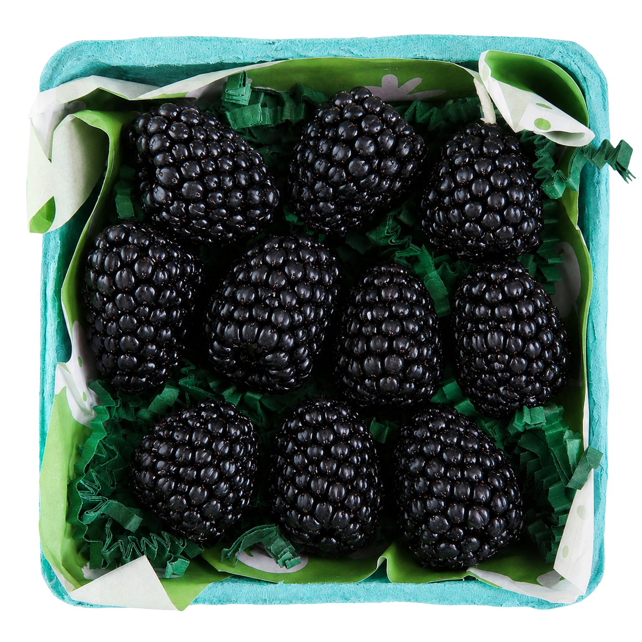 Blackberry Beeswax Birthday Candles: 10