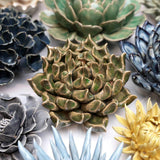 Large Succulent Green