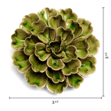 Olive Petunia