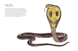 Colorful World of Reptiles