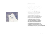 Dog Show