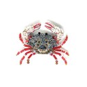Brooch Red Clawed Crab