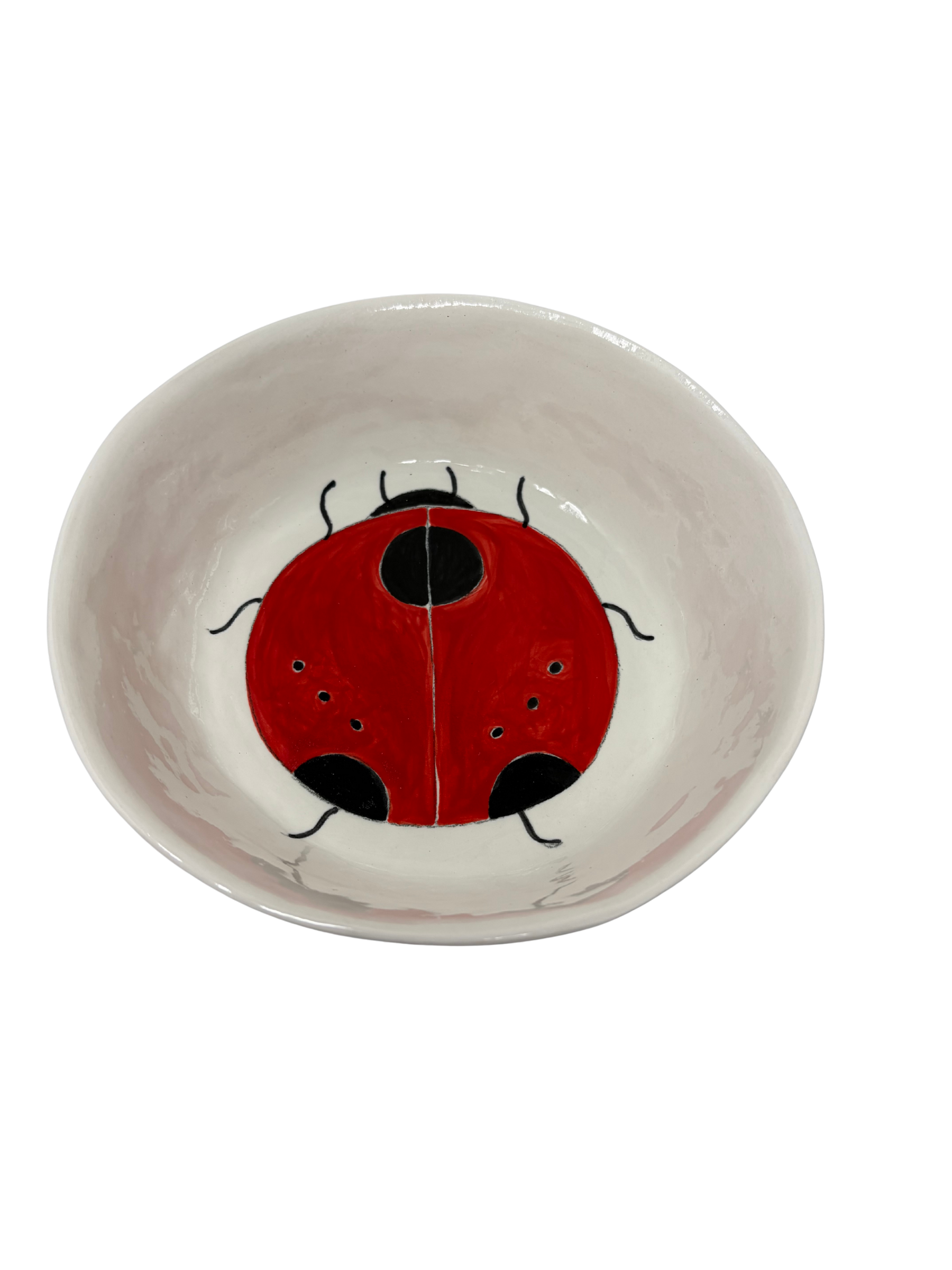Large Snack Bowl Ladybug 2