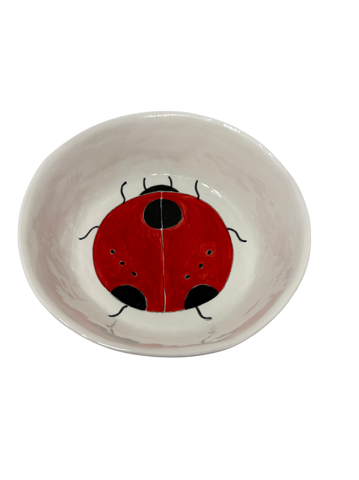 Large Snack Bowl Ladybug 2
