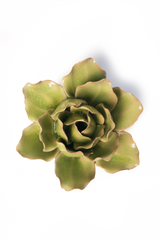 Peridot Stargazer Lily