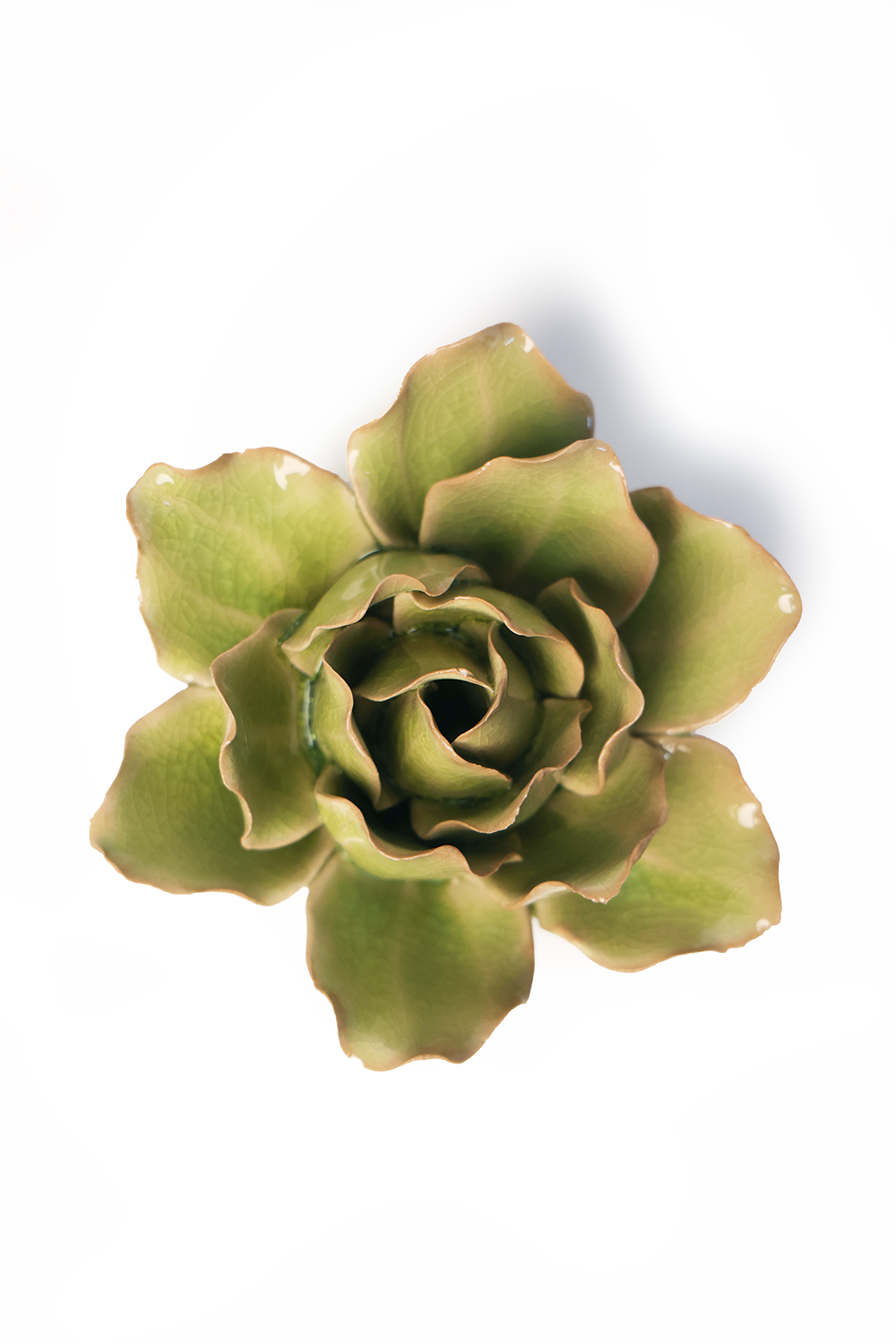 Peridot Stargazer Lily