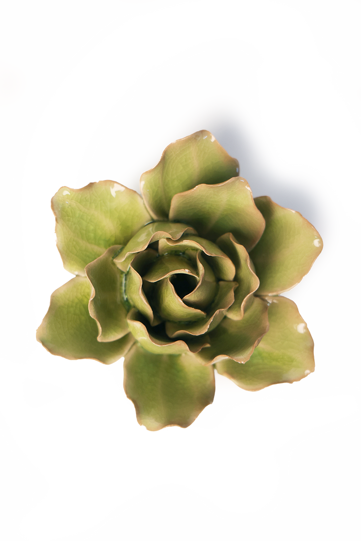Peridot Stargazer Lily