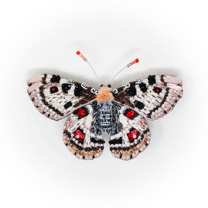 Brooch Apollo Butterfly