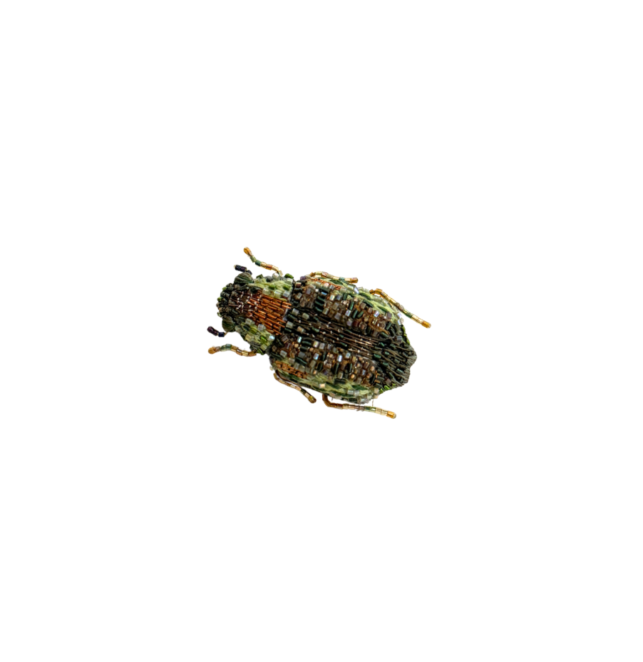Brooch Vintage Chafer