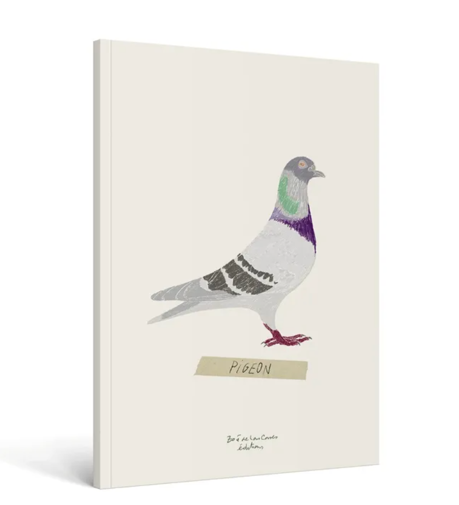 Notebook Oiseau