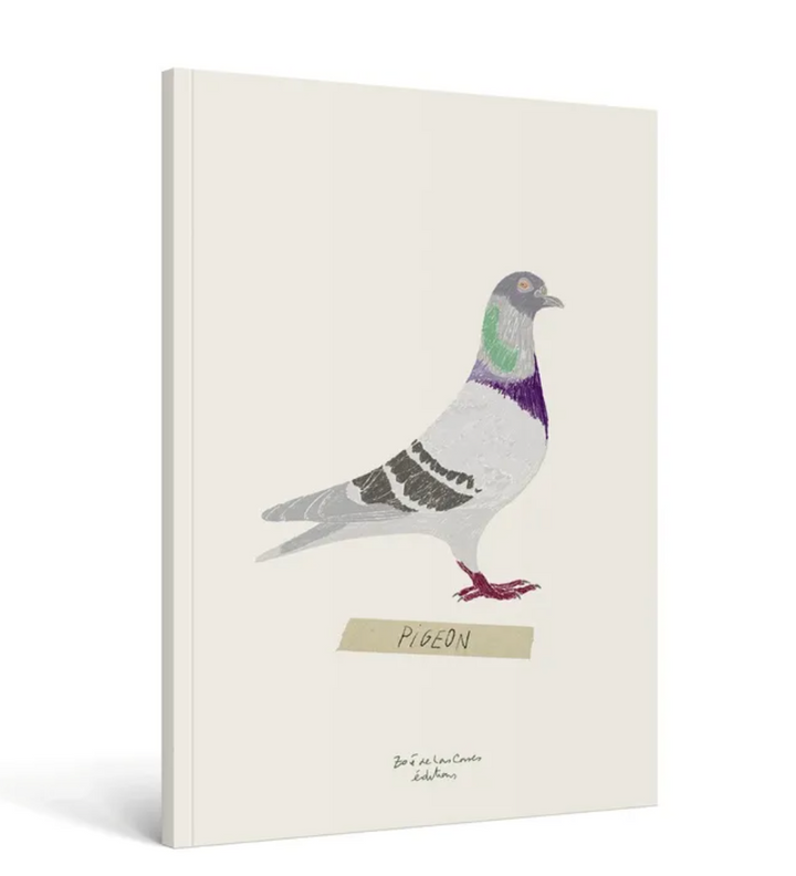 Notebook Oiseau