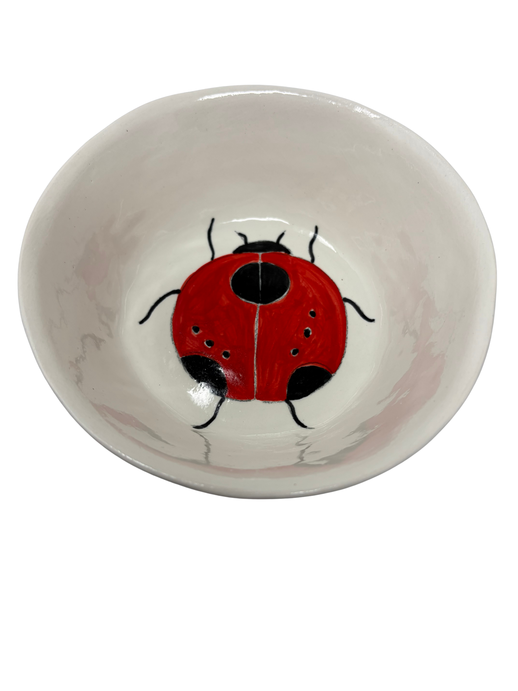 Snack Bowl Ladybug 3