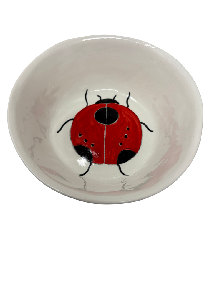Snack Bowl Ladybug 3