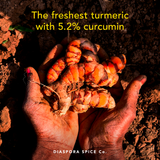 Pragati Turmeric Powder