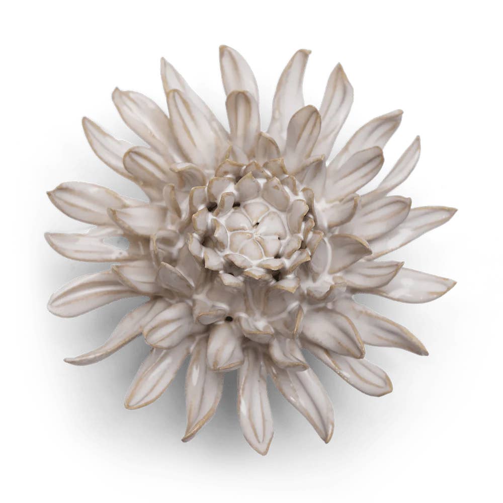 Ivory Spider Mum