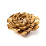 Caramel Charm Peony
