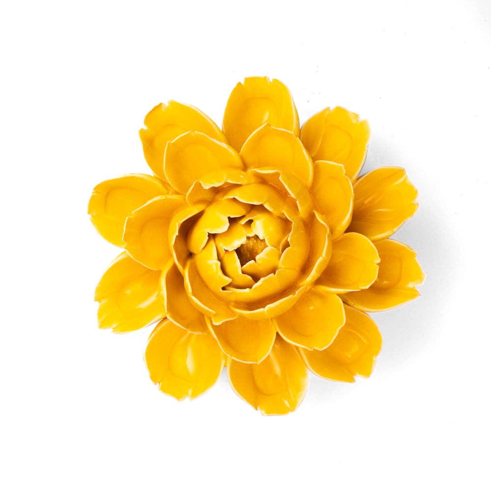 Yellow Cabbage Flower