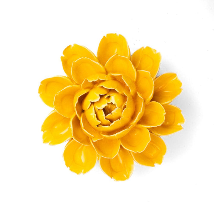 Yellow Cabbage Flower