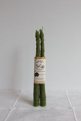 Beeswax Candle Asparagus