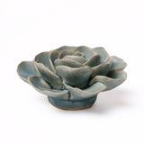 Teal Ranunculus