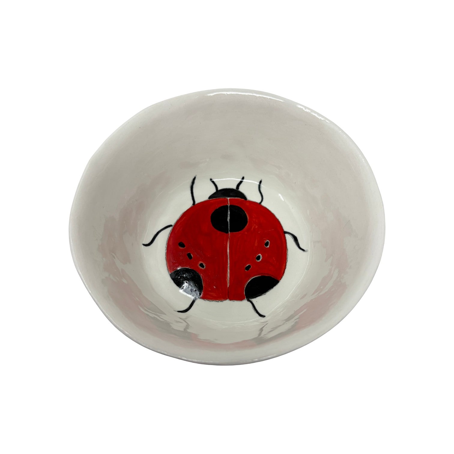 Snack Bowl Ladybug 4
